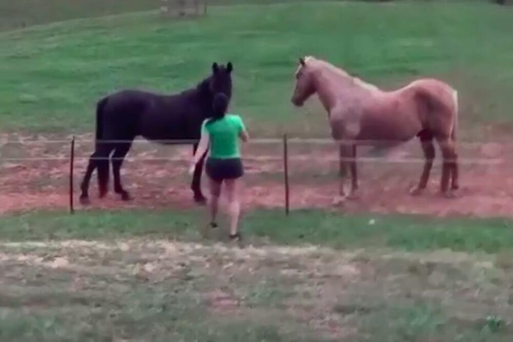 ŽENA JE BILA JAKO UZBUĐENA DA POMAZI KONJE: Ono što se desilo, bukvalno ju je ŠOKIRALO, sva se UNEREDILA! (VIDEO)