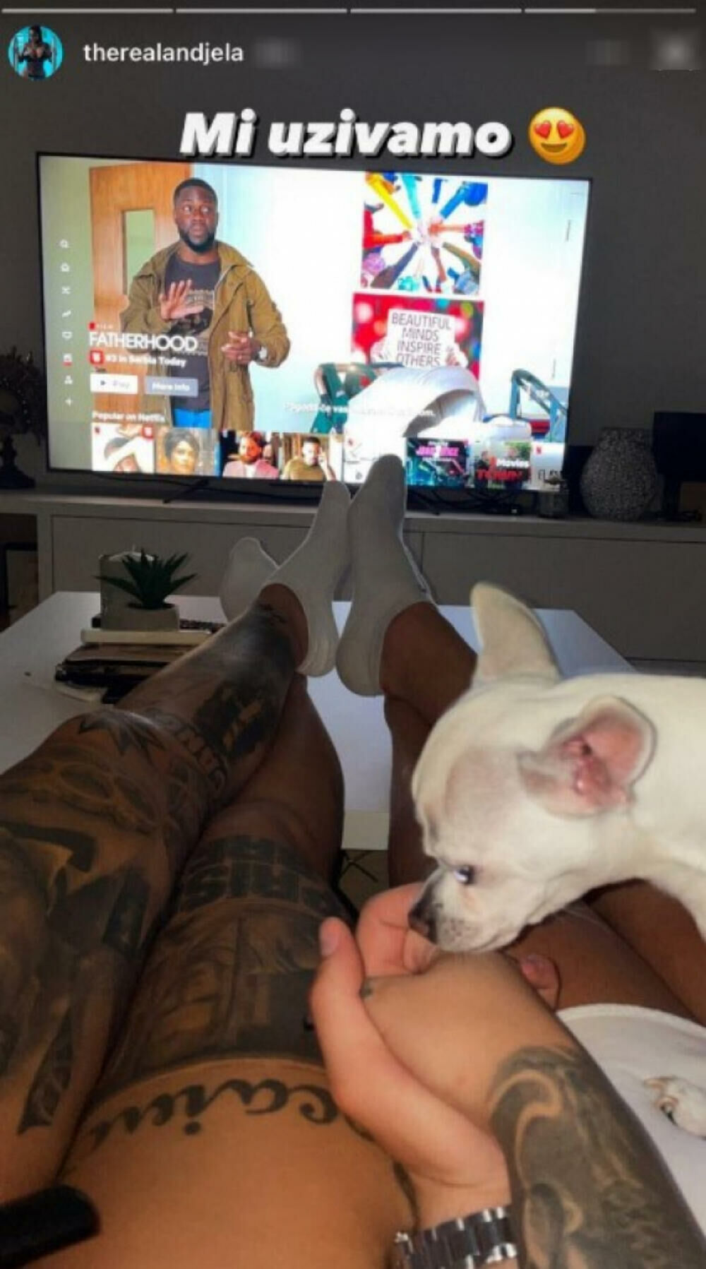 Anđela Veštica, David Ikač