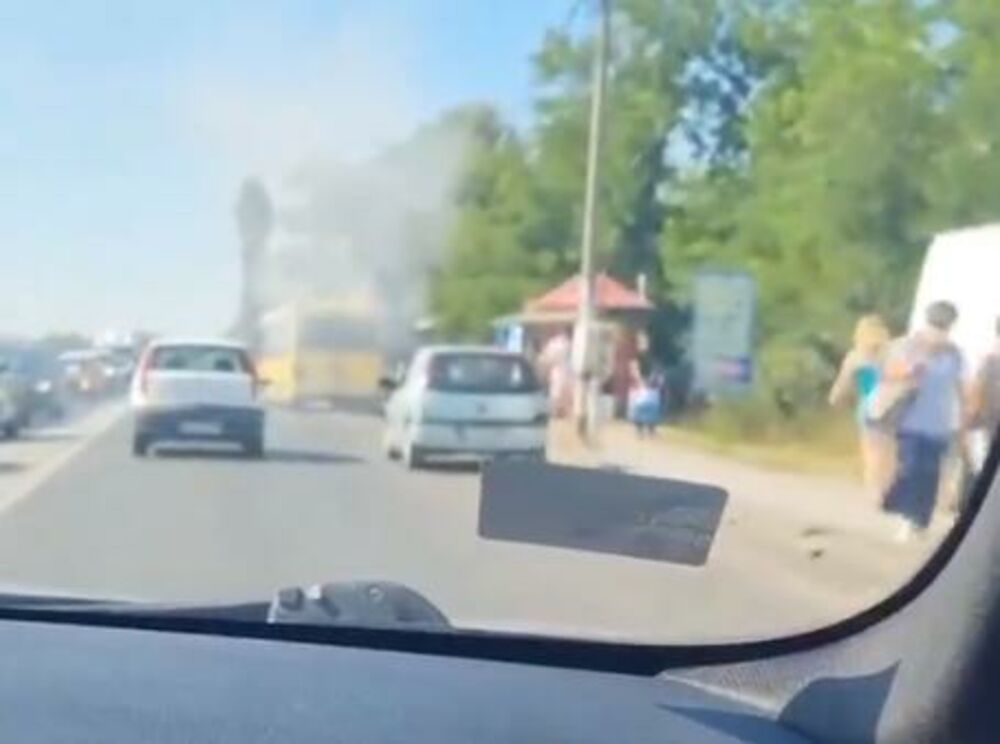 Gori autobus, Autobus