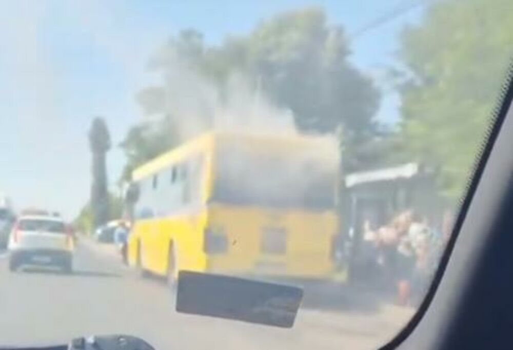Gori autobus, Autobus