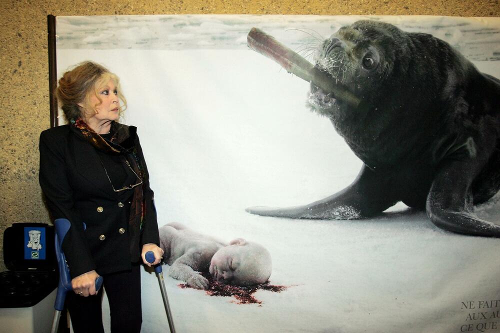 SLAVNA BRIŽIT BARDO KAŽNJENA, MORA DA ISPLATI 5.000 EVRA! Svi TEKSTOVI će biti izbrisani, NEMA POMILOVANJA!