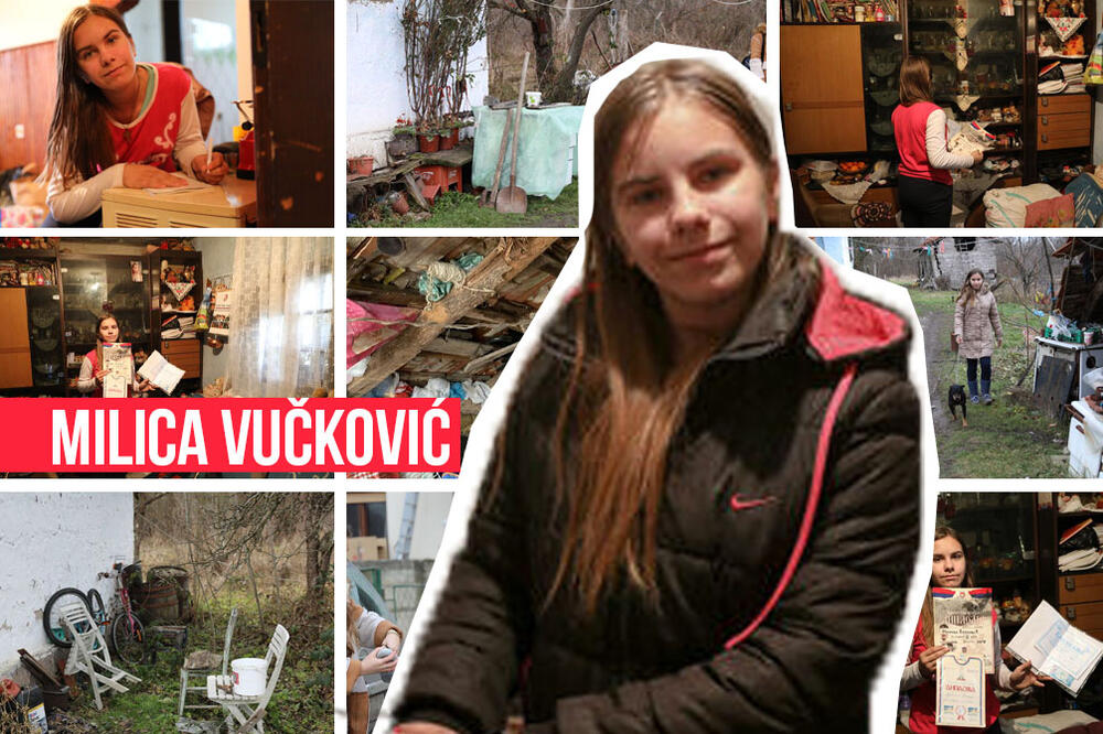 SEĆATE LI SE MALE MILICE? Živela je sa zmijama, pa dobila PRIVREMENI DOM: Sada, iskrsao je još 1 VELIKI PROBLEM!