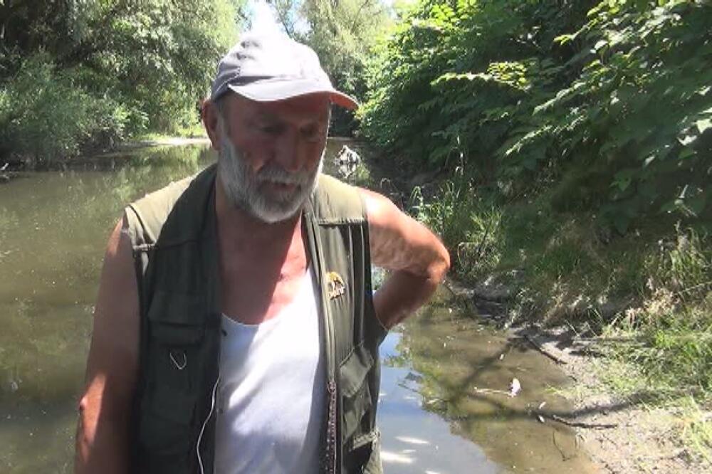 NA STOTINE MRTVIH RIBA PLUTA KOD POŽEGE: Otrovane su mrene i klenovi (FOTO)