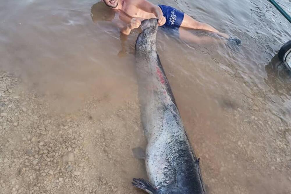MARKO JE ULOVIO NEMAN U BILEĆKOM JEZERU! Ne bi mogao da izvuče zver da nije imao pomoć, ovo je NAJVEĆI ulov! (FOTO)