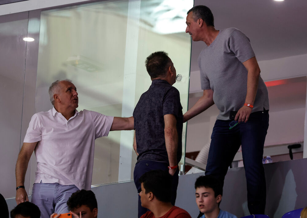 Dejan Radonjić, Željko Obradović