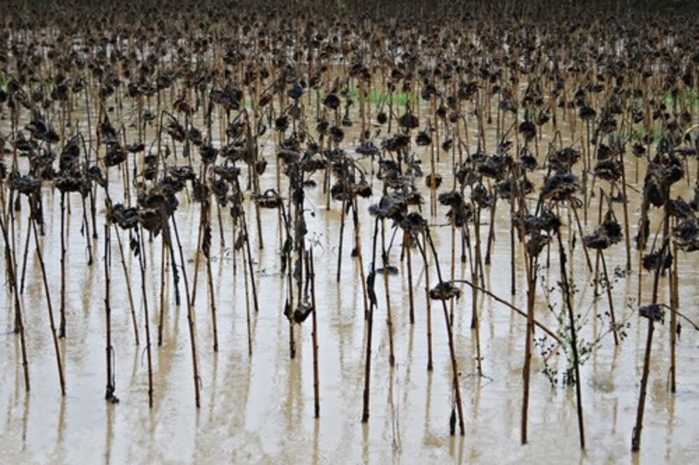 ALARMANTNO UPOZORENJE METEOROLOGA! Budućnost će izgledati potpuno DRUGAČIJE, jedna BALKANSKA ZEMLJA posebno RANJIVA