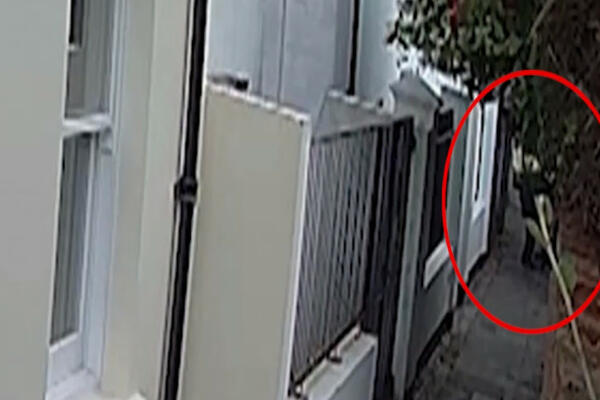 STRAVIČAN SNIMAK UBIJANJA KRUŽI INTERNETOM! Gledajte ovo na sopstvenu odgovornost! (VIDEO)