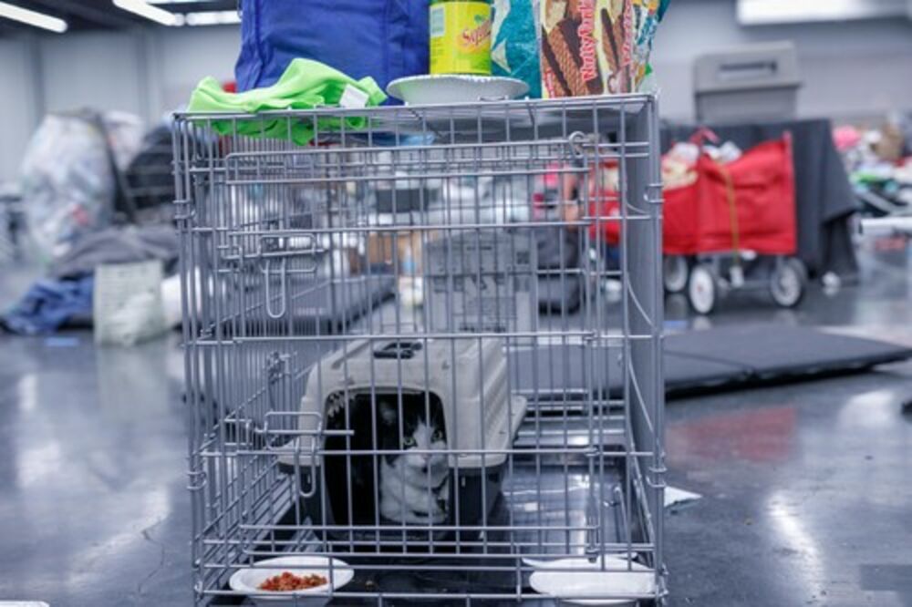 Toplotni talas u Portlandu