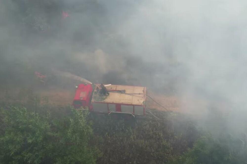 GORI ŠUMA U SOLUNU: Kanaderi i helikopteri gase vatrenu stihiju! (VIDEO)