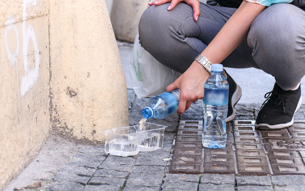 Sipanje vode za pse po vrućini