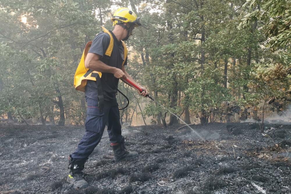 VELIKI ŠUMSKI POŽAR KOD ČAČKA: Vatrena stihija zahvatila površinu od preko 10 hektara (FOTO)