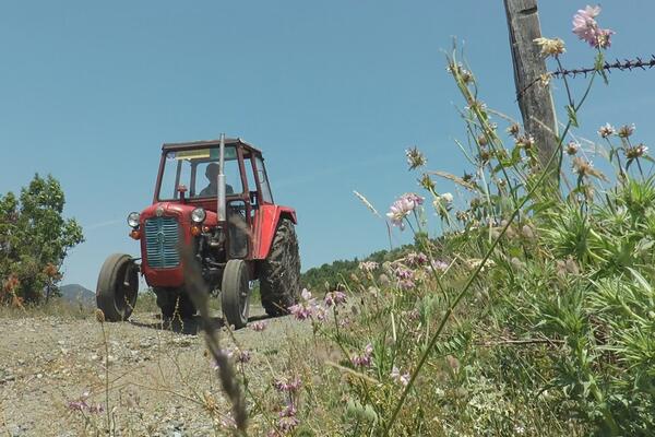 UŽAS KOD UŽICA! Traktor se prevrnuo i PRIKLJEŠTIO čoveka