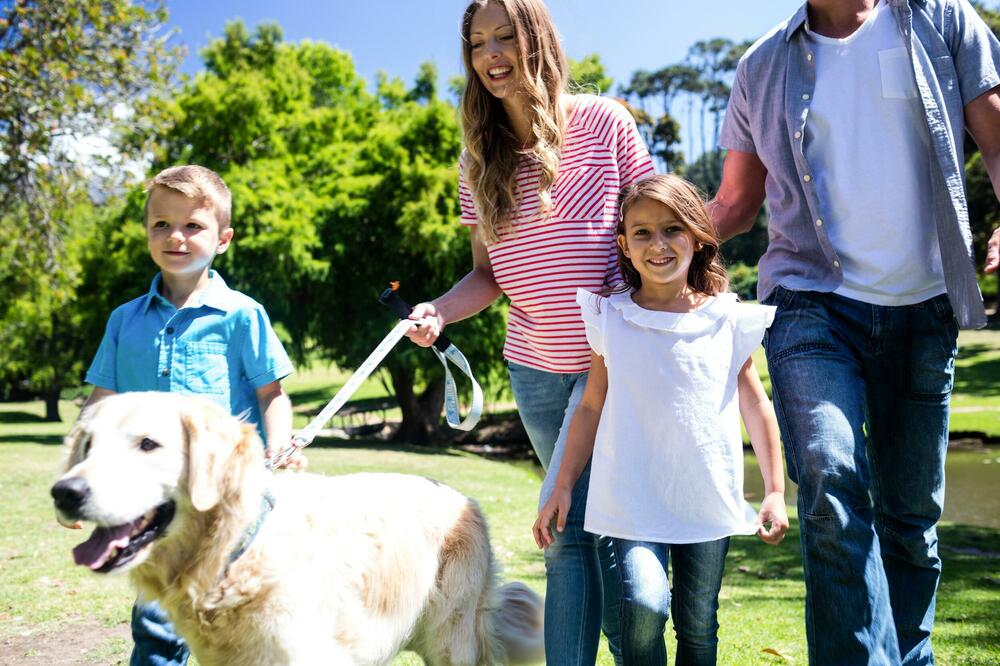 KORISNI GEDŽETI ZA CELU PORODICU: Dobra zabava, sigurnost i zaštita na jednom mestu po super cenama!