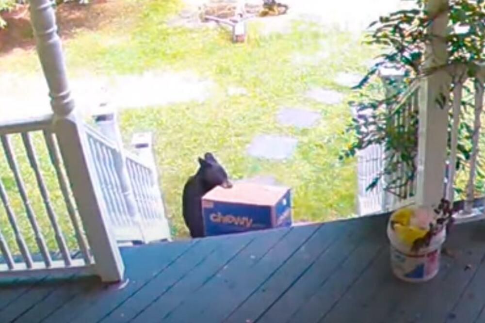 ZGRANULI SU SE KADA SU VIDELI SNIMAK: Ljudima nestao paket ISPRED kuće, A KRADLJIVAC JE BILA OPASNA ZVERINA (VIDEO)