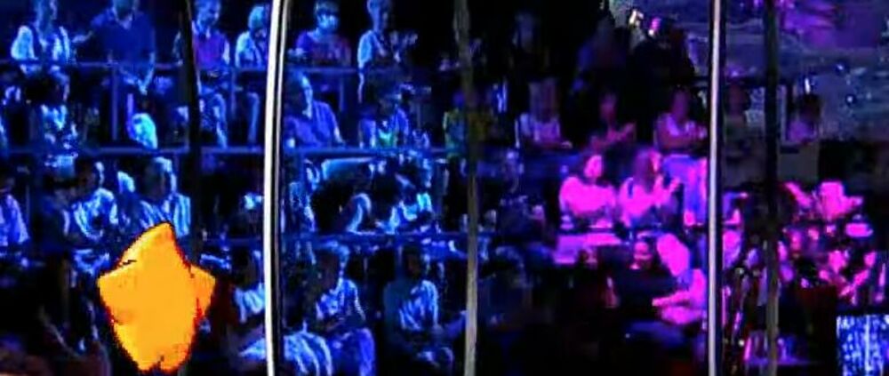 Dušica Jakovljević