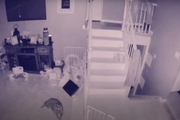 BRAČNI PAR SNIMIO NA KAMERI JEZIVOG POSETIOCA! Niko ne zna šta je BELA silueta, ali postoji JEDNO OBJAŠNJENJE!