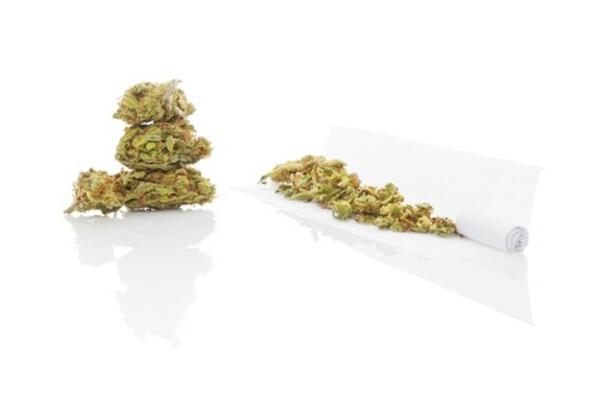 RASKRINKAN PLAN DILERA IZ SOPOTA: Pronađena marihuana namenjena prodaji na festivalu