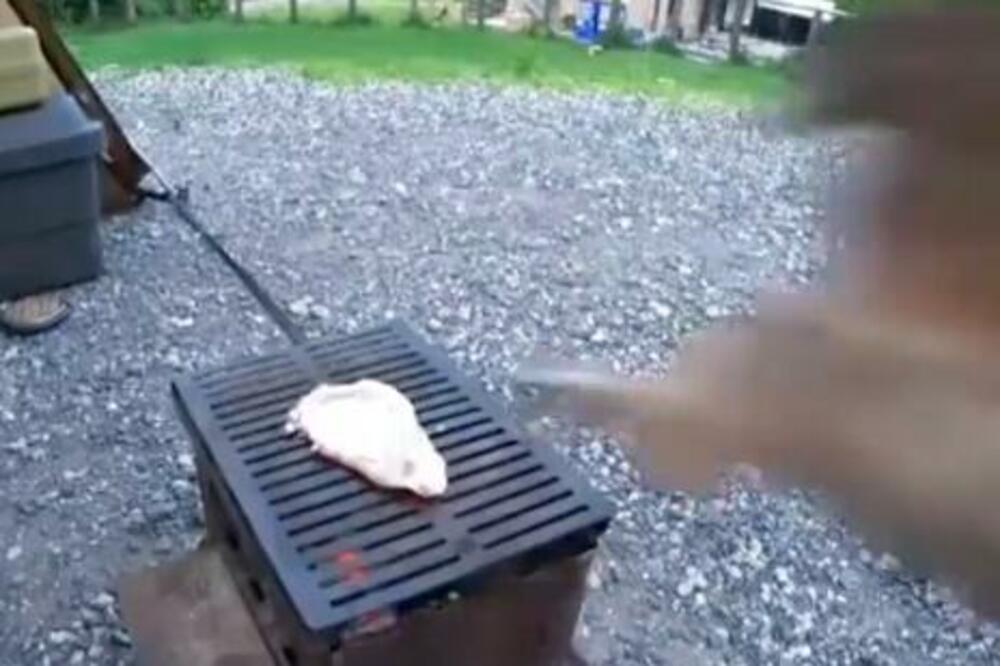 PRŽIO JE ŠNICLU NA ROŠTILJU: Nije očekivao da će mu se desiti scena iz NAJGORE NOĆNE MORE! (VIDEO)