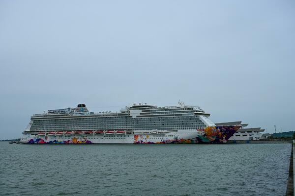 DRAMA U SINGAPURU: Kruzer se vratio u luku, PUTNIK ZARAŽEN KORONOM