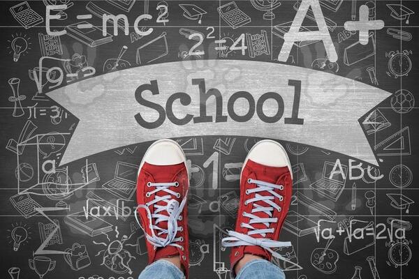 ZABRANJENO DAVANJE PRIVATNIH ČASOVA: Pogodite koja država je donela ovako RIGOROZNU MERU