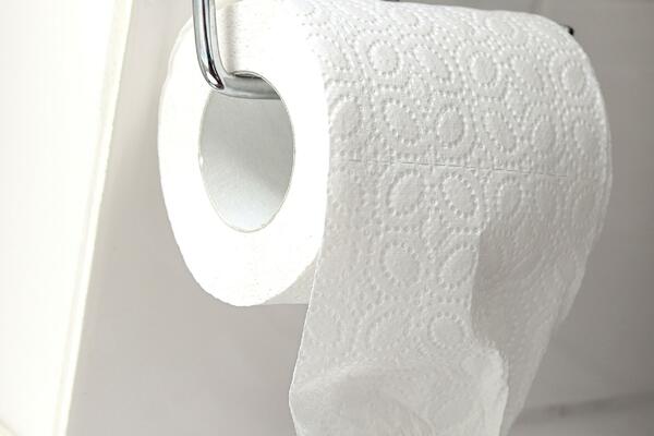 DA LI JE MOGUĆE DA OVO NISMO ZNALI!? Postoji pravilna orjentacija TOALETNE rolne, nikada ne biste POGODILI