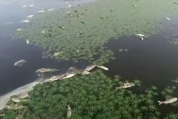 OD RANIJE POKRENUT UPRAVNI POSTUPAK: Vodna inspekcija sutra ponovo u obilasku prnjavorskog "Ribnjaka"! (VIDEO)