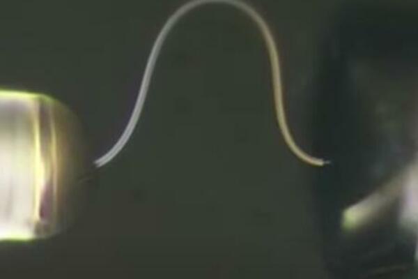 KINESKI NAUČNICI STVORILI NEŠTO NEVEROVATNO: Fleksibilan LED, savija se a ne LOMI SE! (VIDEO)