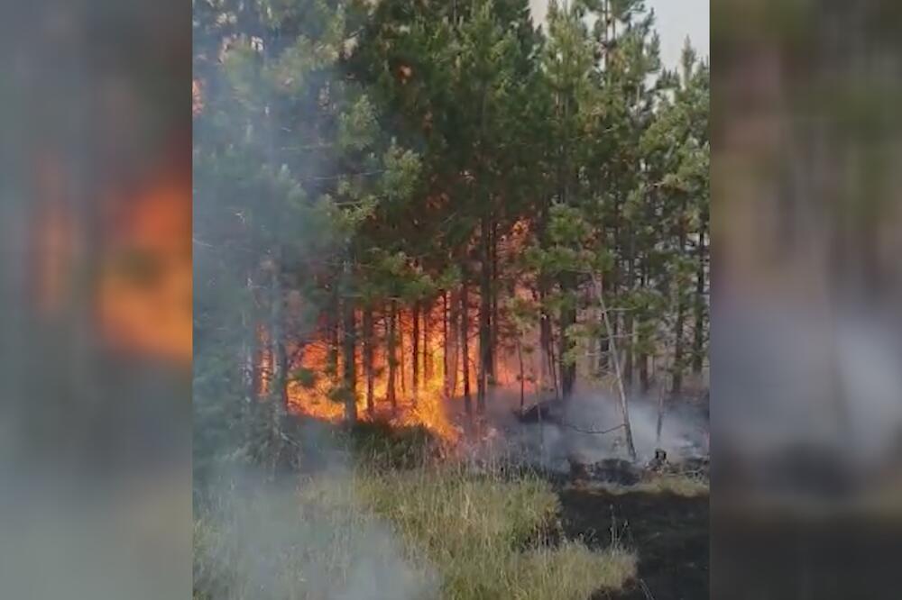 IZBIO POŽAR NA OSTRVU KOD ZADRA: Gori rastinje, evakuisano 50-ak osoba!
