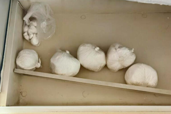 UHAPŠEN MUŠKARAC (34) NA STAROM GRADU: Policija mu u FRIŽDERU pronašla šest paketa amfetamina!