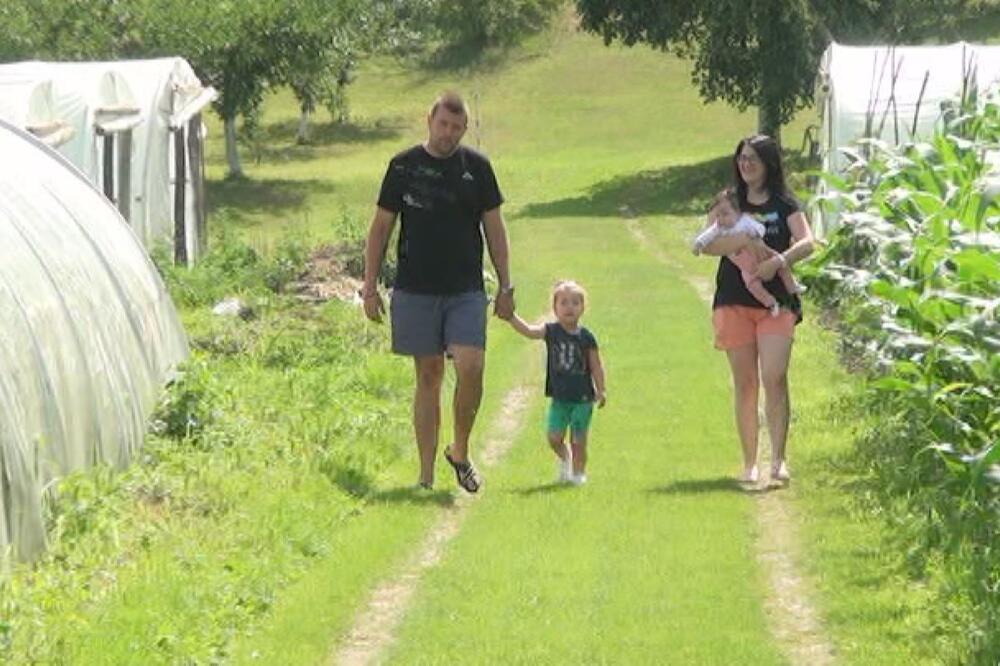 NEGUJE "ĐEDOVO IMANJE": Ljubisav je mladi poljoprivrednik, godišnje na tone njegovog povrća ode za EU (FOTO)