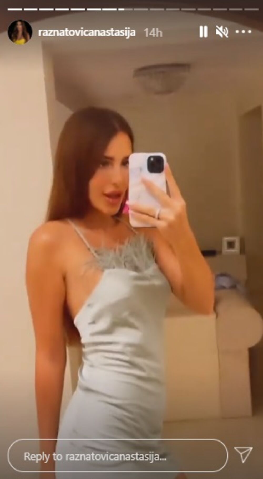 Anastasija Ražnatović