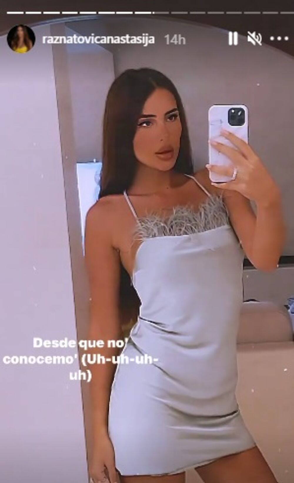 Anastasija Ražnatović