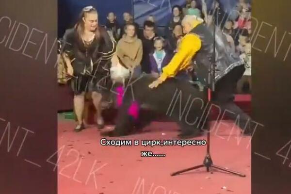 CIRKUS JE IZVODIO PREDSTAVU KOJA SE ZAVRŠILA KRVAVO: Prišla je medvedu a onda su svi počeli da vrište (VIDEO)