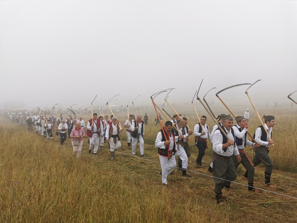 Kosidba, Rajac, Trava