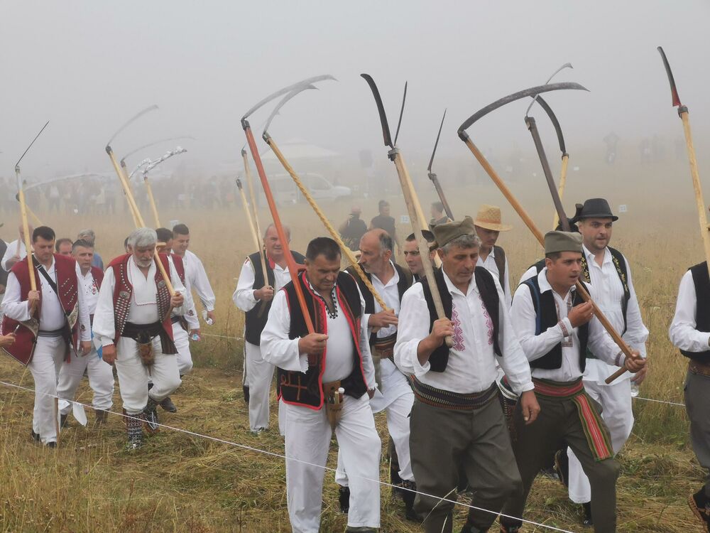 Kosidba, Rajac, Trava