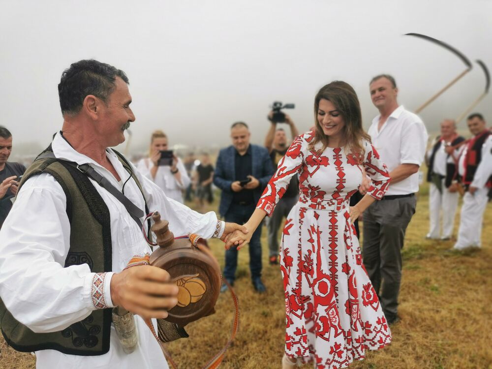 Kosidba, Rajac, Trava