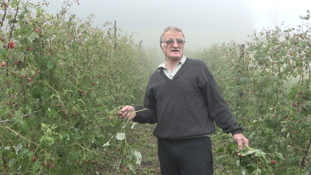 Malinjak, Nevreme, Blagomir Luković