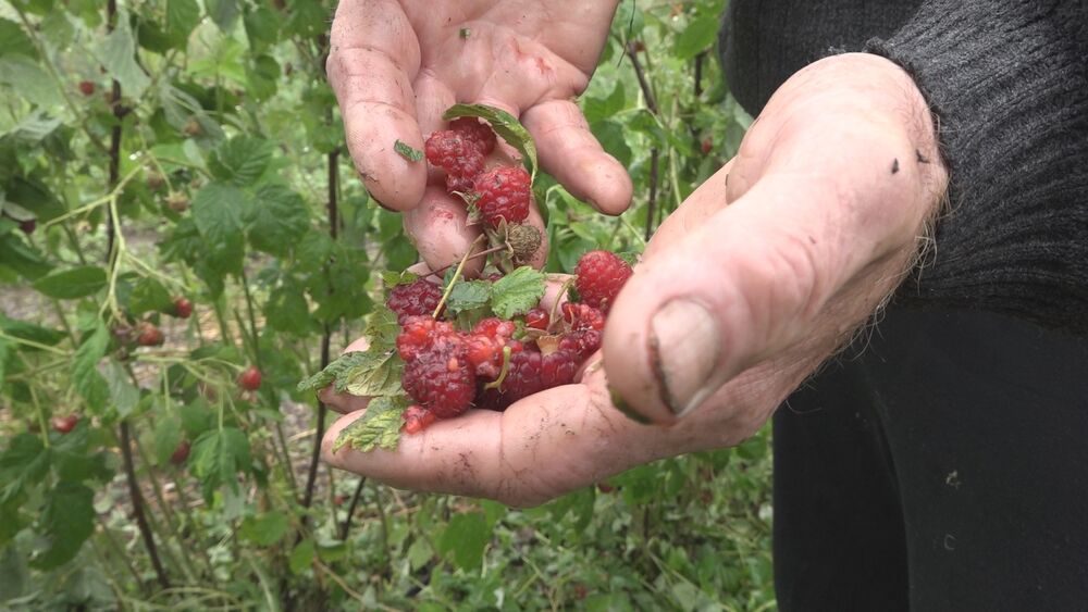 Malinjak, Nevreme, Blagomir Luković