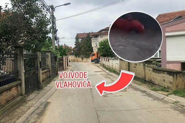 DOK SE VODA NE POVUČE LJUDI SU ODSEČENI OD SVETA! Marko Mladenović objasnio šta je UZROK potopa u Vojvode Vlahovića