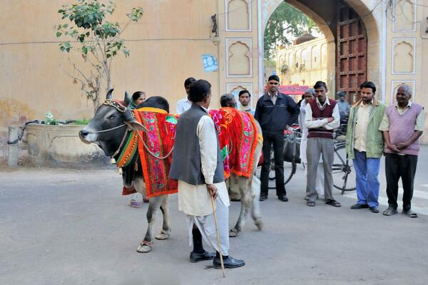 NISU DOBILI DETE 15 GODINA PA SU REŠILI DA USVOJE JEDNO: Svi su ZANEMELI kada su videli njihovog SINA! (FOTO)