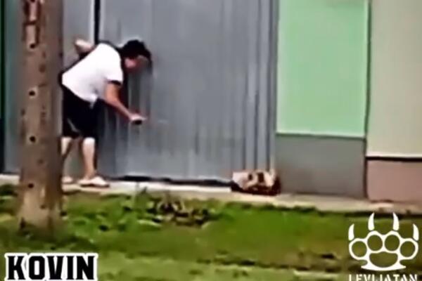 GDE TI JE DUŠA? Stravičan snimak iz Kovina, STARIJA ŽENA KRVNIČKI UDARA MALOG PSIĆA koji je legao da se ODMORI