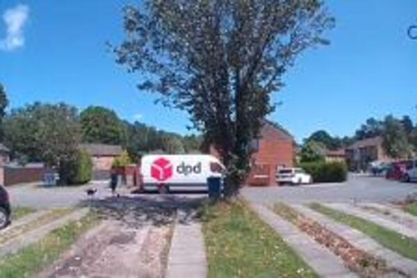 TRIK OD 5 SEKUNDI OTKRIVA DA LI JE PREVRUĆE ZA ŠETNJU PSA: U suprotnom može biti POGUBNO