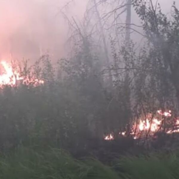 PAKAO U SIBIRU: Toplotni talas doveo do ŠUMSKIH POŽARA i toksičnog žutog DIMA, ljudi u očaju! (FOTO/VIDEO)