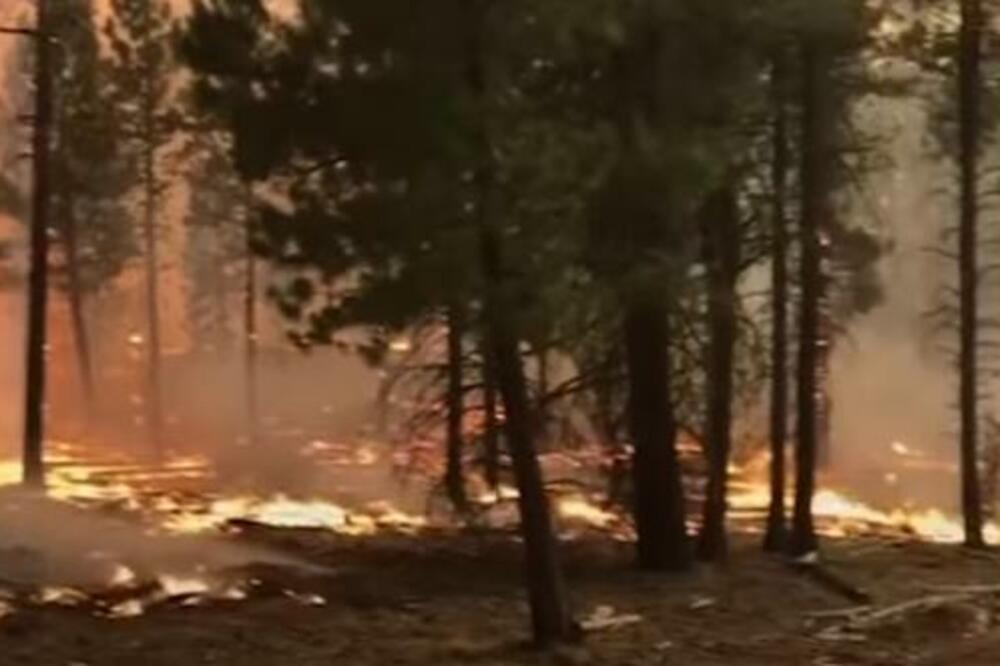 VATRENA STIHIJA: Izbio požar na Čiovu, gasilo ga više od 50 vatrogasaca