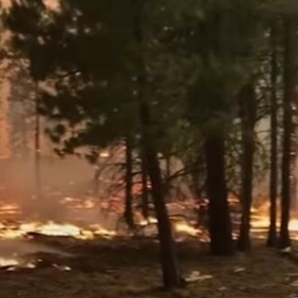 ZADIMLJENO NEBO OD POŽARA ČAK DO NJUJORKA: U Oregonu bukti vatrena stihija, evakuisano 2.000 domova (VIDEO)