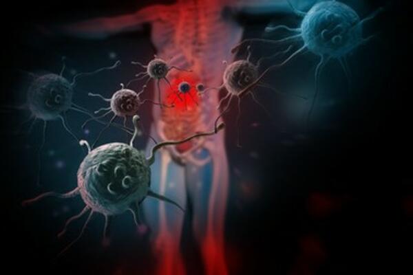 STRUČNJACI UPOZORILI, NIKAKO NE NASEDAJTE: 7 mitova o hrani za podizanje imuniteta kojima NE treba verovati