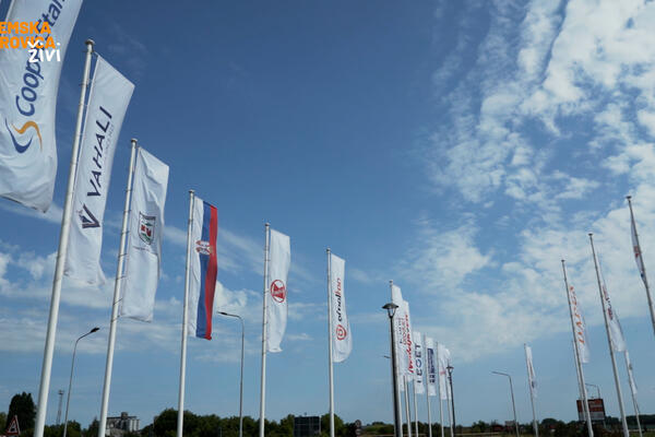 REKORDAN BROJ ZAPOSLENIH U SREMSKOJ MITROVICI: Svega 3,5% nezaposlenih - istorijski minimum!