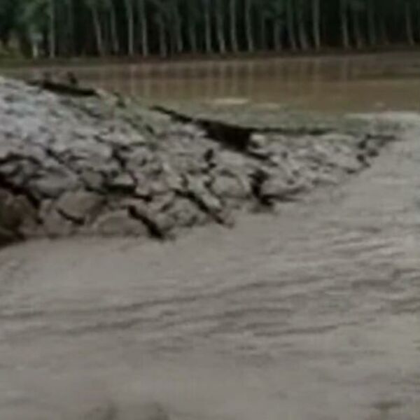 ZEMLJA IZRONILA IZ VODE! Prolaznici snimili ČUDO, a posle se dogodilo još nešto! (VIDEO)