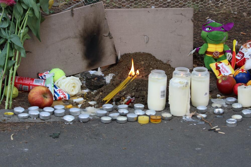 BRAT STEFANA koji je stradao u nesreći na Karaburmi i dalje ne zna šta se desilo! NIKO nije smogao snage da mu kaže