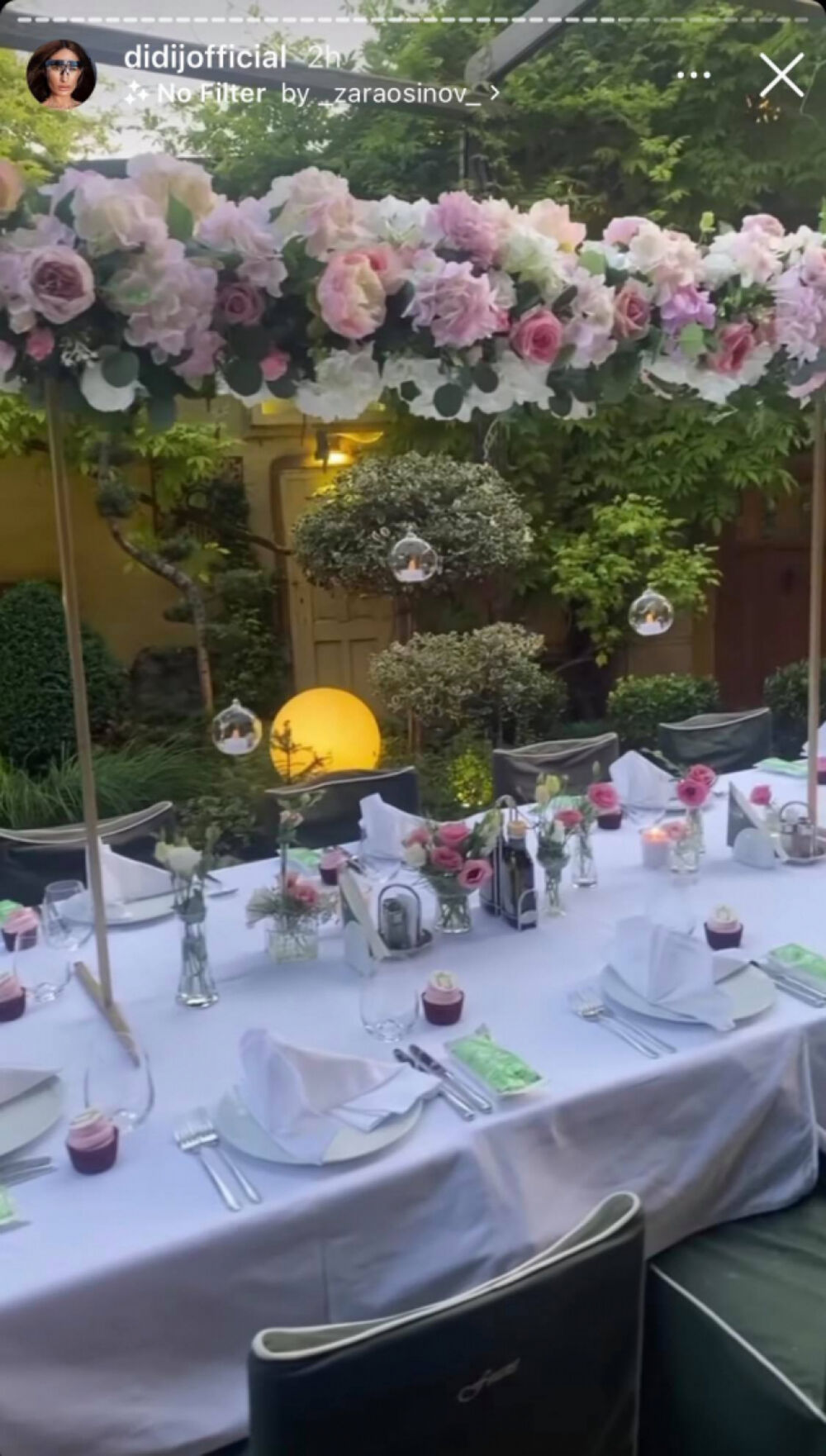 Didi janković, Dijana Janković